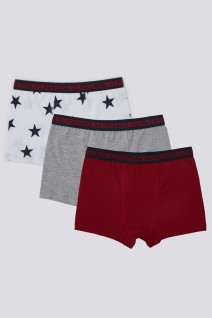 U.S Polo Us1378-V1 3'Lü Erkek Çocuk Boxer